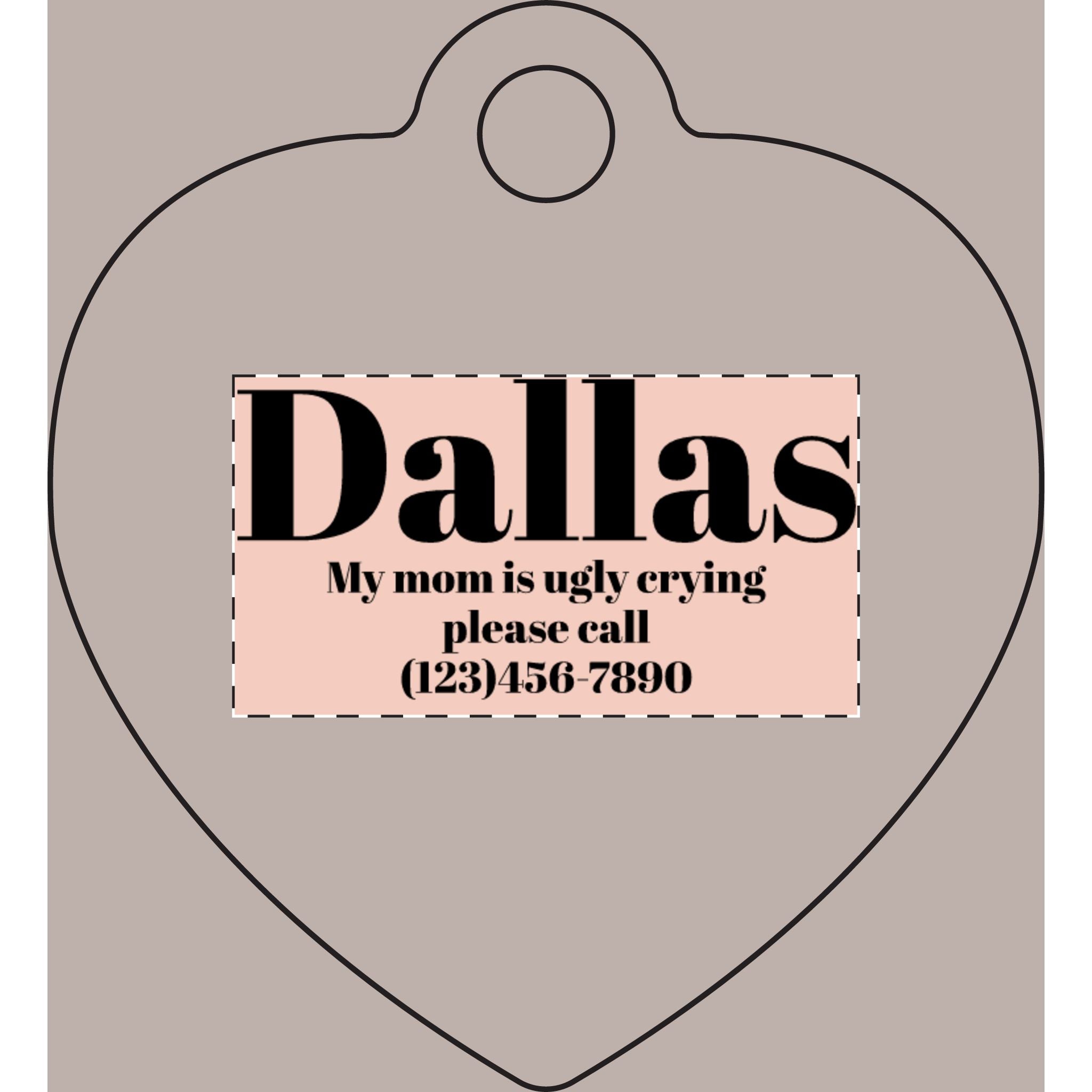 Custom Pet Name Plate (Engraving)